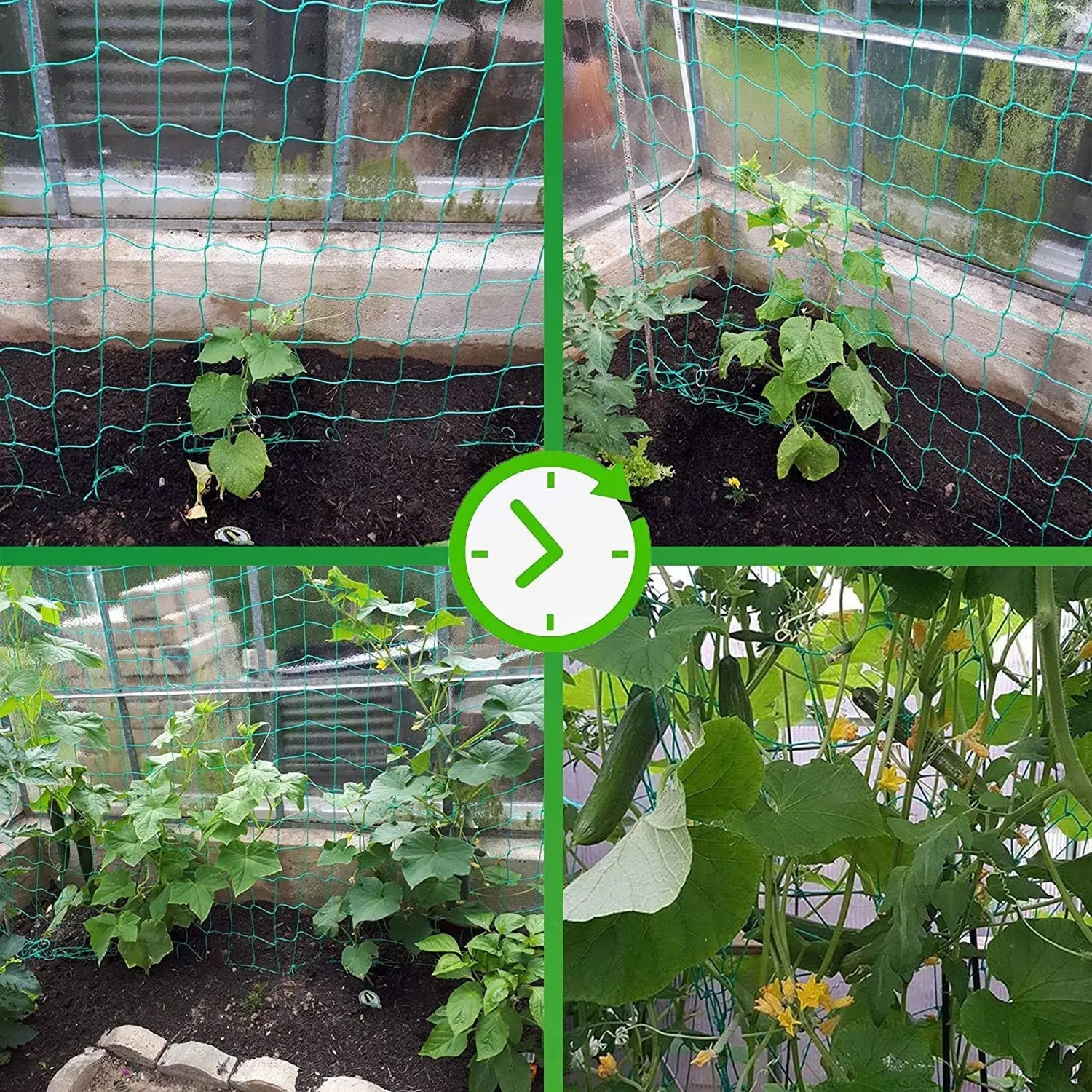 Garden Cell Plant Climbing Net