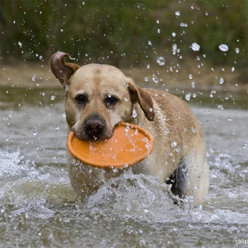 Dog Training Flying Interactive Toy