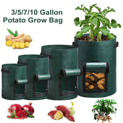 Garden Gallon Plant Growing Pots