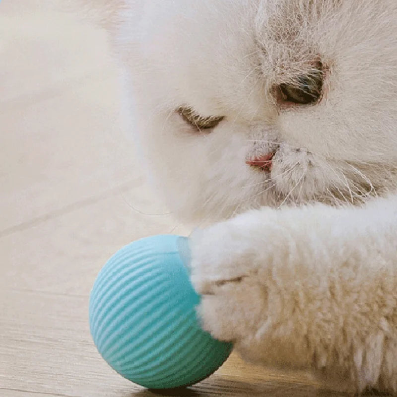 Cat Smart Electric Rolling Ball Toy