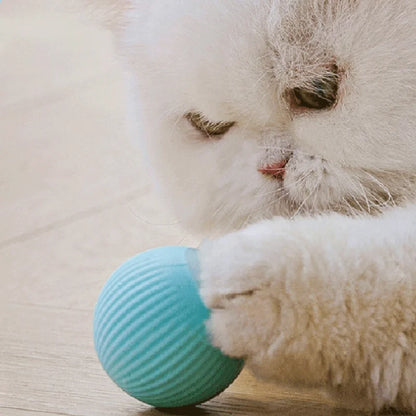 Cat Smart Electric Rolling Ball Toy