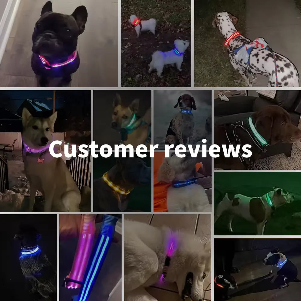 Dog Anti-Lost LED Light Collar