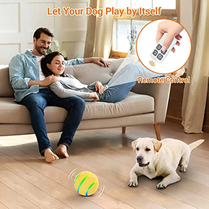 Dog Remote Control Interactive Ball Toy