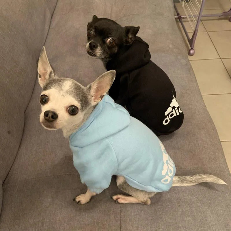 Dog Winter Warm Large Hoodie