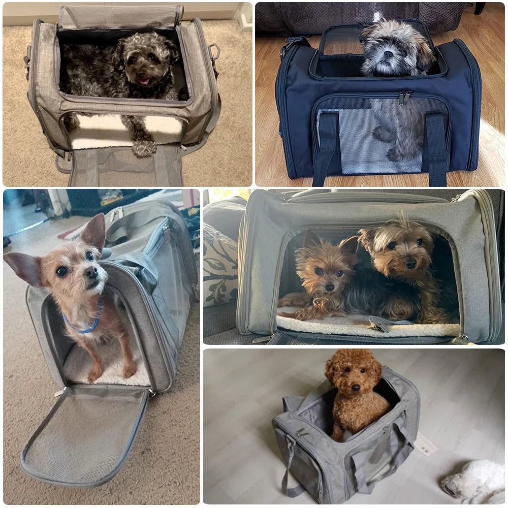 Dog Outgoing Soft Travel Bag