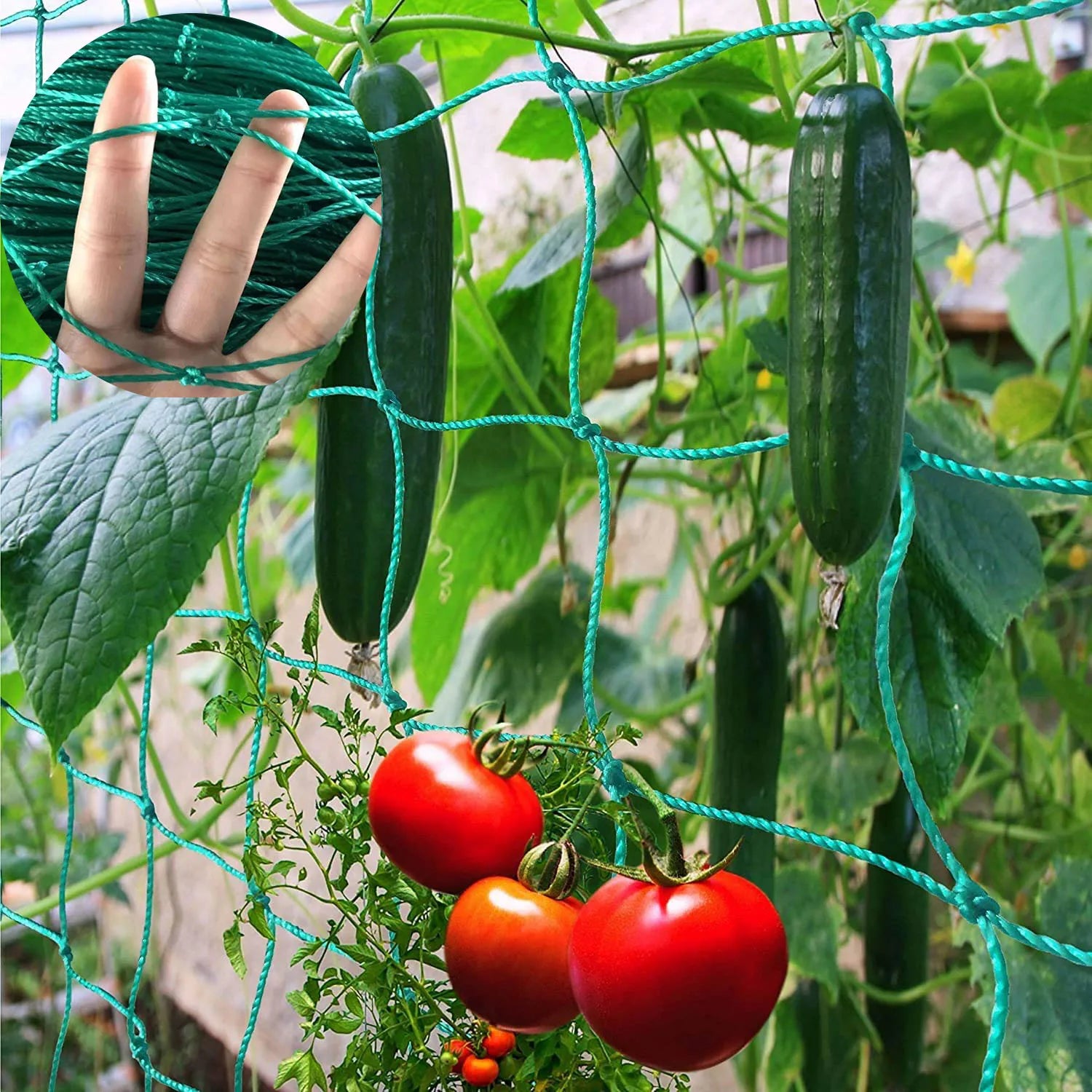 Garden Cell Plant Climbing Net